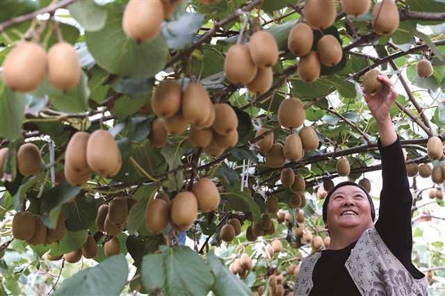 到黔江唤起脑海深处的乡愁记忆