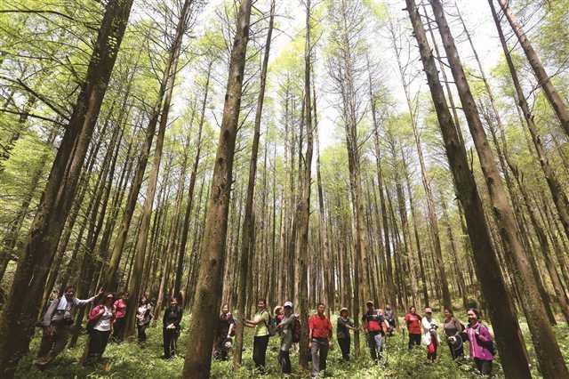 到黔江唤起脑海深处的乡愁记忆
