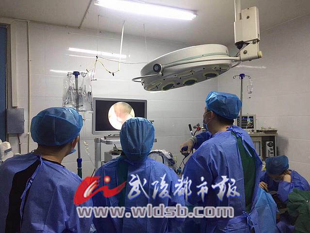 6c626db1b60e1e1653853d.jpg